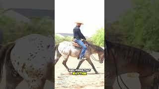 See Spot Spin reining reiningmasterclass horsetrainingtips [upl. by Eisler]