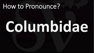 How to Pronounce Columbidae CORRECTLY [upl. by Lozano]