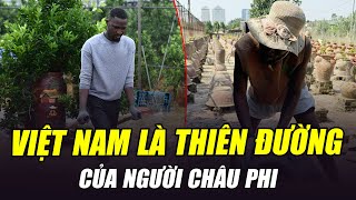 DÂN CHÂU PHI Ồ ẠT SANG VIỆT NAM BỐC VÁC RỬA BÁT THUÊ KHI NƯỚC TA LÀ THIÊN ĐƯỜNG CỦA NGƯỜI CHÂU PHI [upl. by Cioffred]