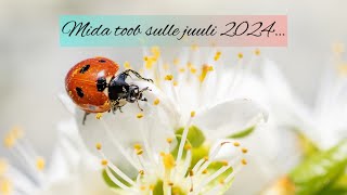 Mida toob sulle juuli 2024…🌸🐝🌼❤️ [upl. by Umeh]