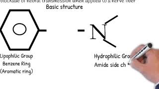 Local Anesthetic Agents arabic version [upl. by Eneiluj]