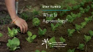 What Is Agroecology [upl. by Rosalinde84]