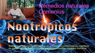 Nootropicos naturales plantas inteligentes y sus efectos [upl. by Animaj]