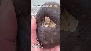 💟 Hag Stone 🧿 What a surprising moment to find this treasure today 😇 hagstone grateful [upl. by Silber]