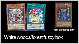 White forest ft Toy box huge potential Combo with OCG decklist baron included yugioh [upl. by Fraser]