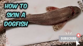 How to Prepare and Skin a Dogfish [upl. by Leunammi]