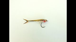 Micro Minnow [upl. by Dworman]