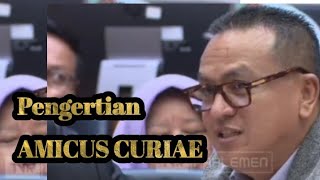 Pengertian dan Sejarah Amicus Curiae [upl. by Attennek3]