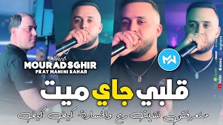 Cheb Mourad Sghir 2024 Galbi Jay Myet منعرفش نشيت ربح والخسارة كيف كيفFeat Manini SaharLive Choc [upl. by Rici262]