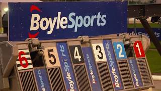 2017 BoyleSports Irish Greyhound Derby Final [upl. by Leilamag]