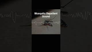 Mosquito Repellent Sound 17KHzRepelling dengue fever Zika fever and chikungunya fever [upl. by Hadihahs]