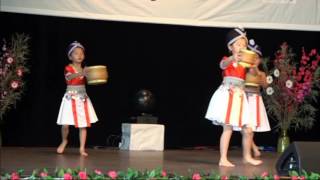 hmong danse Nouvel AN irigny fab kis 7 012017 [upl. by Capp650]