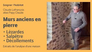 Mur en pierre enduit intérieur lézardes fissures salpêtre joints qui se décollent analyse [upl. by Ispep88]