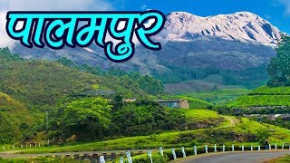 Palampur Tourism Himachal Pradesh Travel Guide  Best Places to visit in Palampur  Travel Nfx [upl. by Dann]