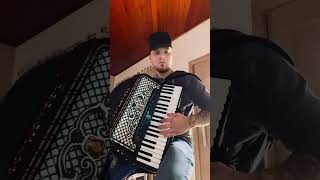 Chorosa  GuilhermeeBenuto  cover sanfona 🪗 brasil sertanejo cover guilhermeebenuto music [upl. by Enitsej]