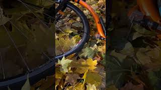 kickbike самокат Катаем погода осень 🍂 [upl. by Dardani306]