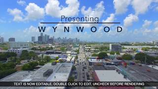 Presenting Wynwood Miami [upl. by Eedahs735]