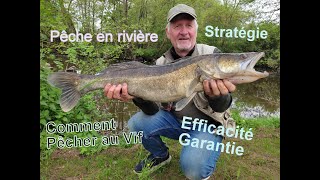 Comment Pêcher de façon efficace au Vif [upl. by Ynafetse]