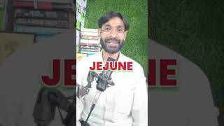 Jejune meaning zulfiqarmohammadienglish english vocabularywords vocabularylearn [upl. by Nodgnal509]