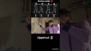 boxing combos for beginners ✅ boxing kickboxing mma boxingpractice ufc shorts [upl. by Goggin]