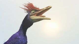 Ce petit dinosaure survit grâce à son cri rahonavis  ZAPPING SAUVAGE [upl. by Aikal60]