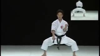 Jiin Shito Ryu Karate Do Kata amp Bunkai [upl. by Fronia793]