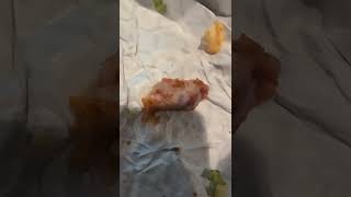 found this in my KFC zinger sandwich cartilage I think masonville mall London Ontario Canada [upl. by Zetana]