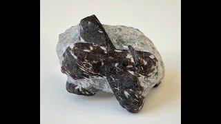 Staurolite cruciform twinned and single crystals in mica schist matrix [upl. by Eitnom]