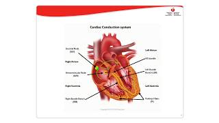 Dysrhythmia Management [upl. by Barcroft]