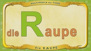 Tante Eules Multipedia  Buchstabe R  die Raupe [upl. by Neelhtak]