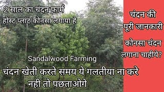 chandan Farming की पुरी जानकारी। sandalwood Farming।।चंदन खेती।Chandan ki kheti [upl. by Etheline174]