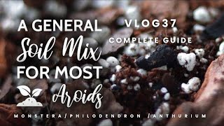 How To Make Soil Mix For Monstera🌿 Philodendron amp AnthuriumGuide amp Tips For Cutting amp Propagating [upl. by Dorene145]