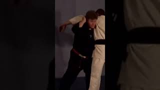 CONTROL JEET KUNE DO [upl. by Sharos]