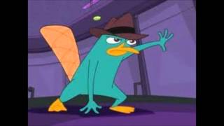 Perry the platypus song theme HD [upl. by Eisyak]