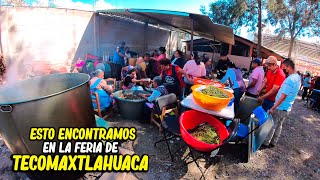 San Sebastián Tecomaxtlahuaca y su Feria Anual 2024 [upl. by Saba]