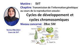 Cours SVT 2Bac Biof Transmission de linformation génétique  Cycle de développement chromosomique [upl. by Enirahtak235]