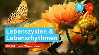 weekview academy  Lebenszyklen und Lebensrhythmen 22 [upl. by Dwane]