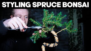 Making Bonsai from Spruce  Clip and Grow Technique [upl. by Moreland539]