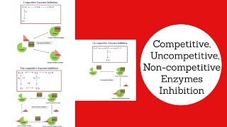 Competitive Uncompetitive amp Non Competitive Inhibition Explained Biochemical amp Bioprocess Engg [upl. by Eadas]