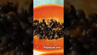 “Why You Should Be Eating Papayas 3 Surprising Facts” [upl. by Dowdell]