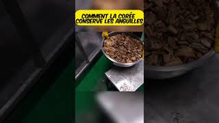 comment la corée conserve les anguilles recette streetcuisine streetfood cuisine [upl. by Seidnac53]