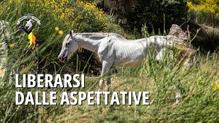 Liberarsi dalle aspettative cosa può insegnarci la storia di un cavallo [upl. by Troy]