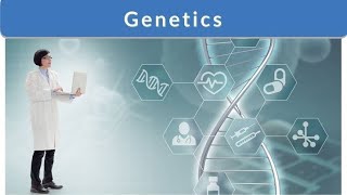 GeneticsAllelesMendels ExperimentsLaws of InheritanceMonohybrid crossDihybrid cross [upl. by Carli75]