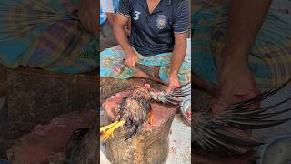 Amazing Special Desi Chicken Cutting Skills In Bangladesh Chicken Market 😱 shorts [upl. by Dale]