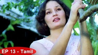 Malgudi Days Tamil HD  Episode 13  The Vendor of Sweets Part 5 [upl. by Augy160]