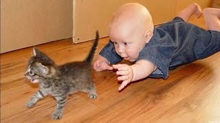 Ultimate Cat and Dog Videos Funniest Pets of 2024 best compilation 8 [upl. by Tnairb]