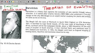 GRADE 12 LIFE SCIENCES THEORIES OF EVOLUTION [upl. by Betta]