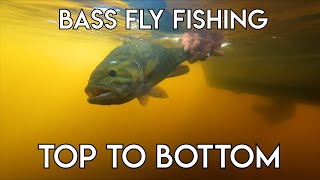 Smallmouth Bass Fly Fishing Techniques  Top to Bottom [upl. by Atteuqcaj220]