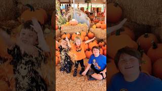 Its Pumpkin Patch Season Wheres your favorite local spot familyfun pumpkinpatch halloween [upl. by Lidstone670]