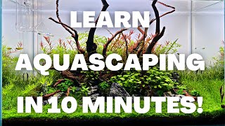 Complete Aquascaping Beginners Guide  Learn ALL The Basics [upl. by Aniez]